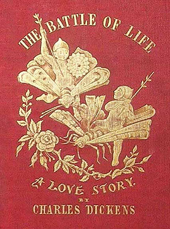 Битва за жизнь: История любви. Обложка книги