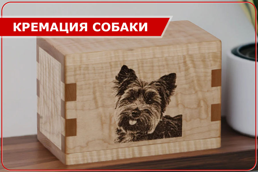 Кремация собак в Москве